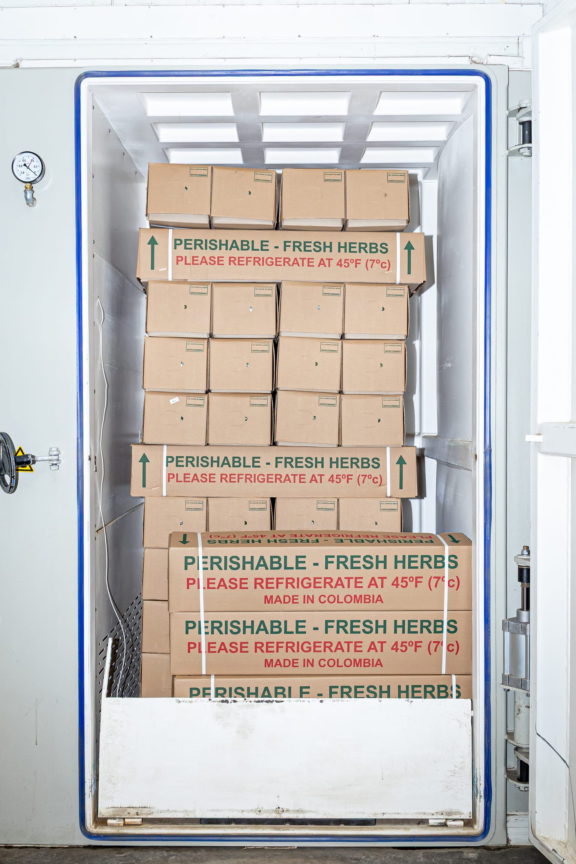 Stacked cardboard boxes labeled "PERISHABLE — FRESH HERBS — PLEASE REFRIGERATE AT 45°F (7°C) — MADE IN COLOMBIA" in the cold-room, ready for export.