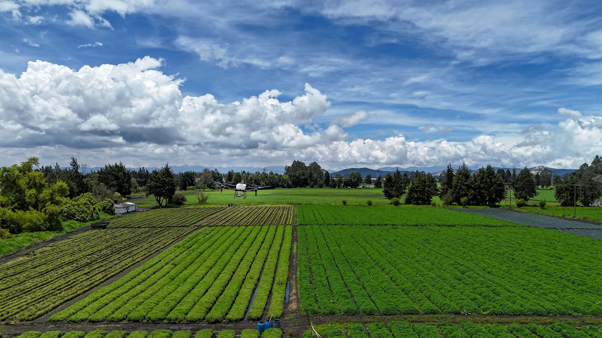 Wide aerial of the farm with dramatic cumulus clouds and big sky — premium hero/establishing landscape.