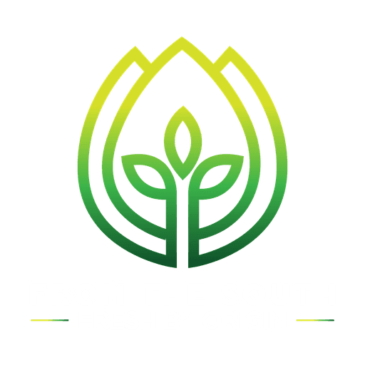 From The South Investments LLC